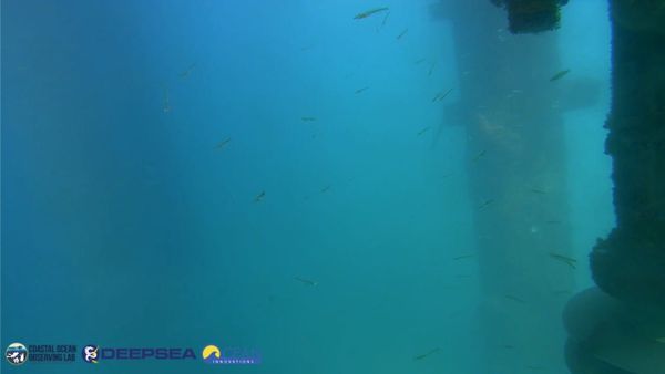 April 13, 2026 / Grade: C