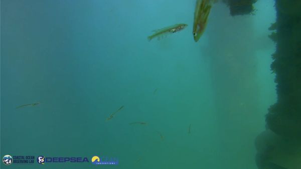 April 14, 2026 / Grade: C