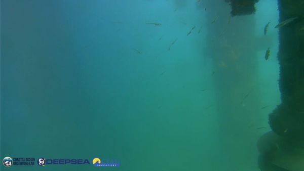 April 15, 2026 / Grade: C