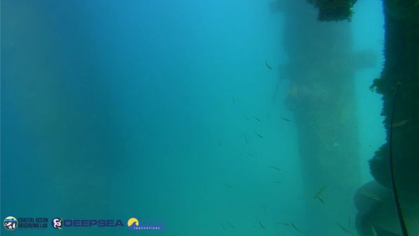 April 16, 2026 / Grade: C