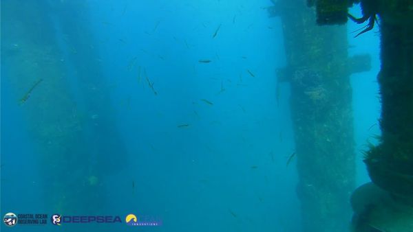 April 2, 2026 / Grade: C