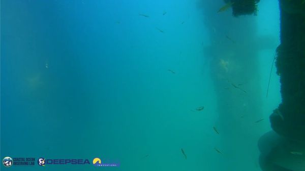 April 18, 2026 / Grade: C