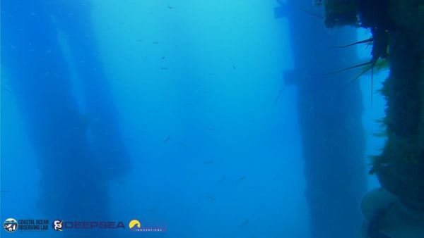 March 31, 2026 / Grade: B