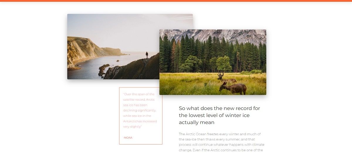 Vue Now UI Kit (Open-Source) - Content Cards