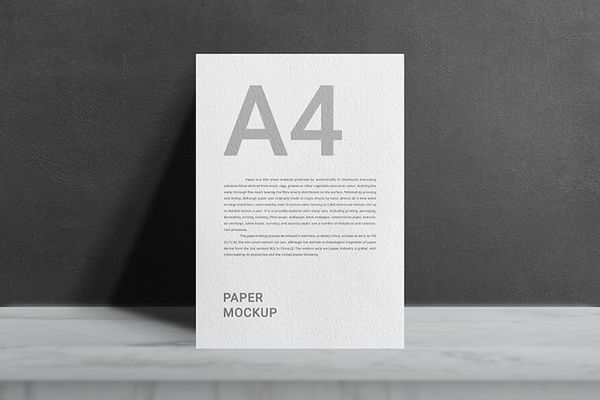 Minimal A4 Paper Mockup with Shades of Shadow