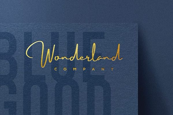 Wonderful Company Blue Paper Logo Mockup