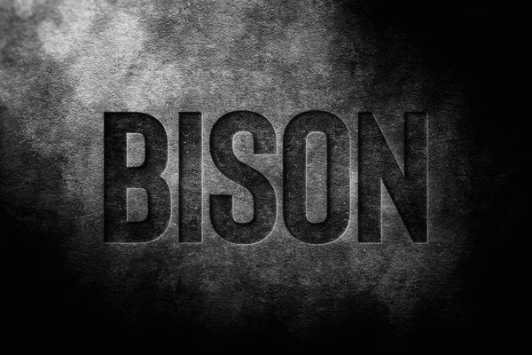 Bison Wall Logo Mockup