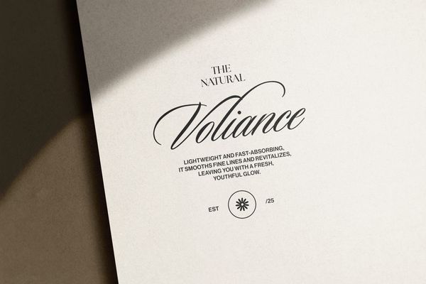 Brand Logo Mockup Voliance