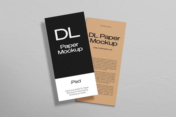 Two of DL Paper Mockups