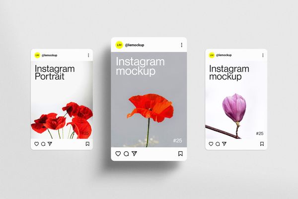 Instagram Portrait Post UI Mockup