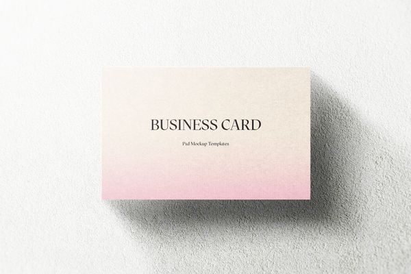 Flat Lay Business Card on Plaster Surface