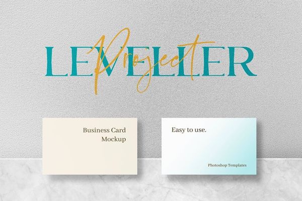 Leveller Business Card Mockup