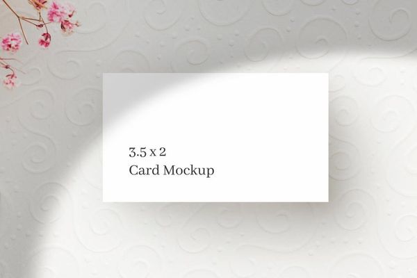 Business Card Mockup With Shadow Overlay