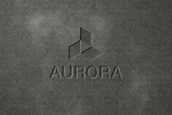 Premium Debossed Logo Mockup