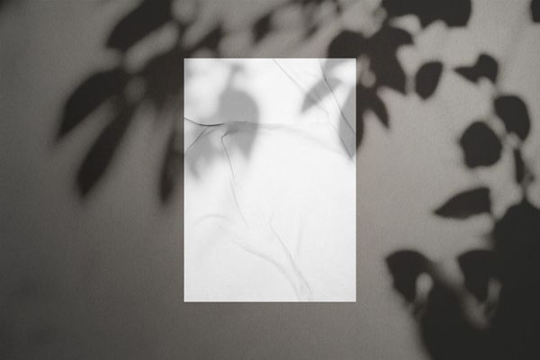 Glued Wall Poster Mockup with Botanical Shadow