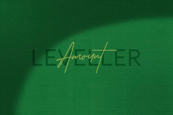 Leveller Green Logo Mockup