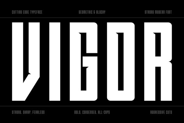 Vigor Font