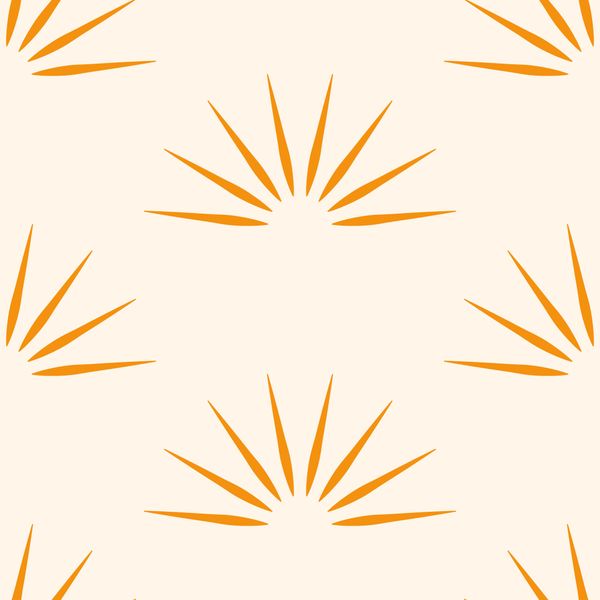 Minimalist Sunburst Pattern