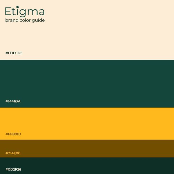 Brand Color Guide Etigma Instagram Post