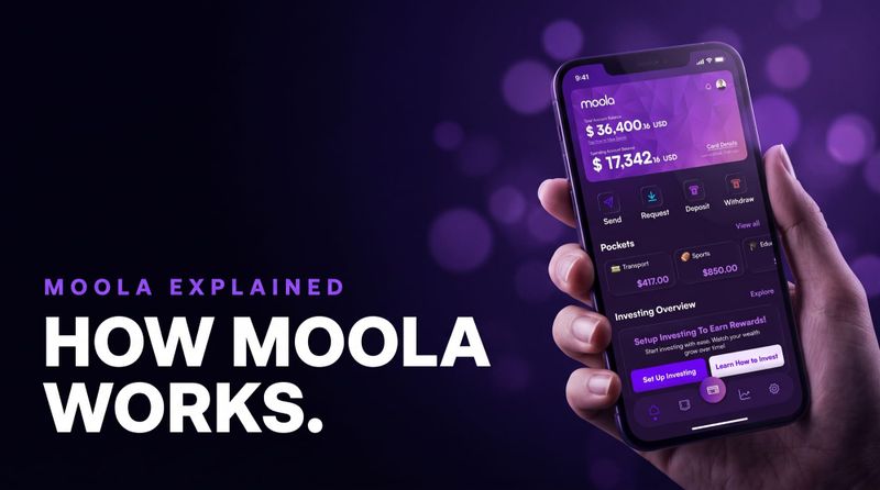 What Is Moola and How Does It Work?