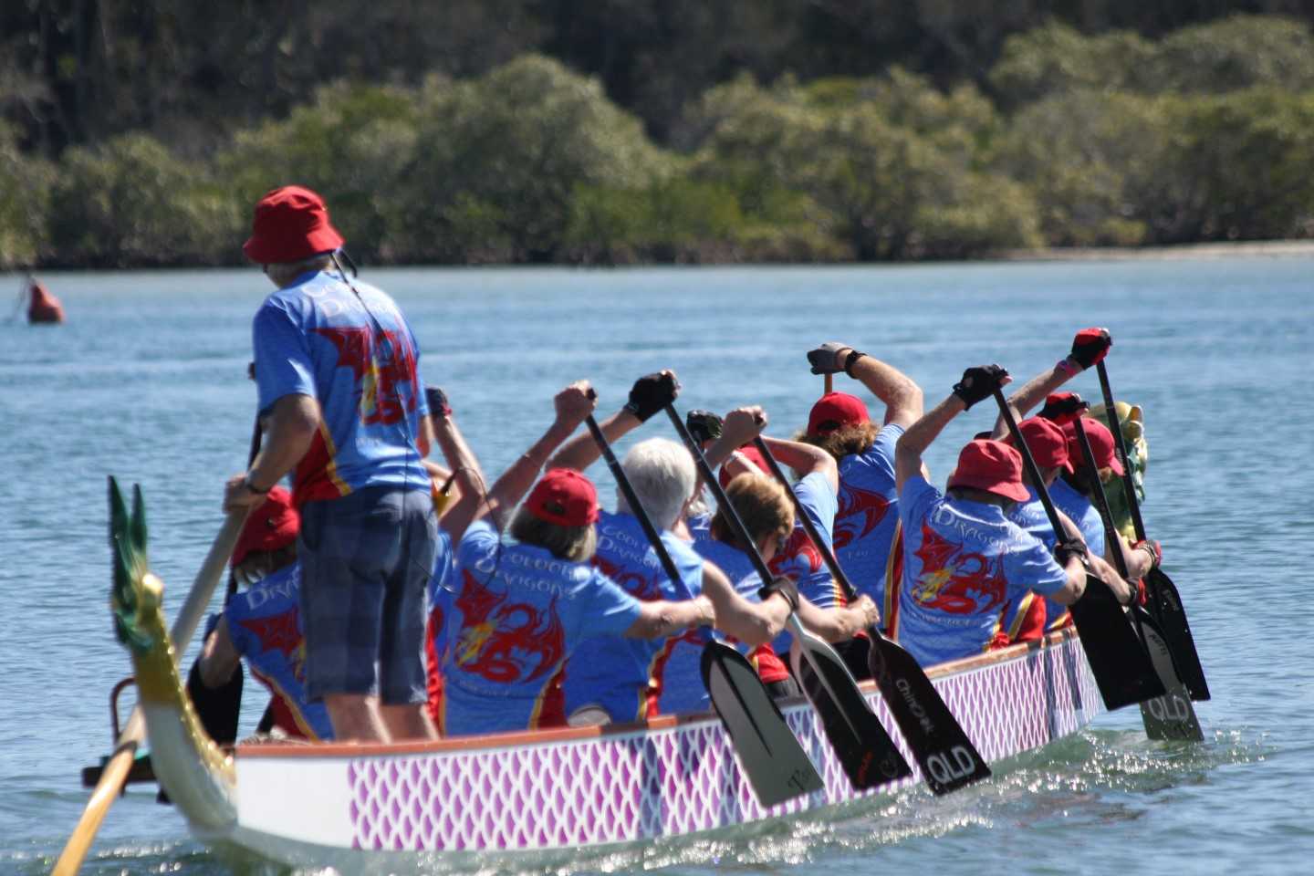 Cooloola Dragons