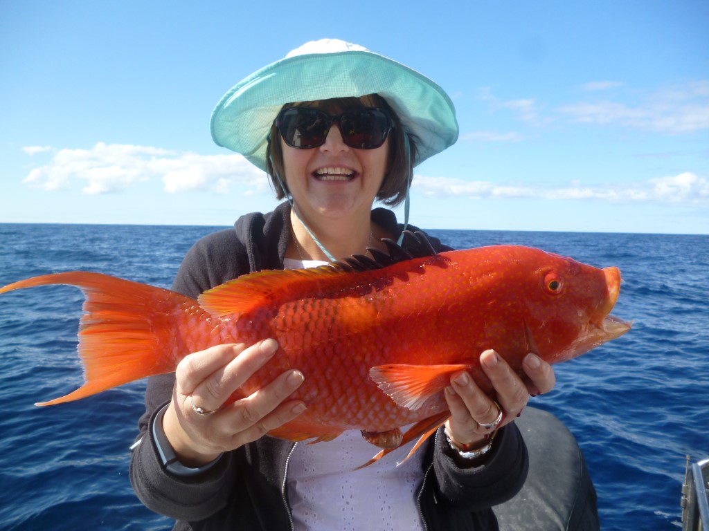 This gold spot wrasse delighted angler Pam from Ireland