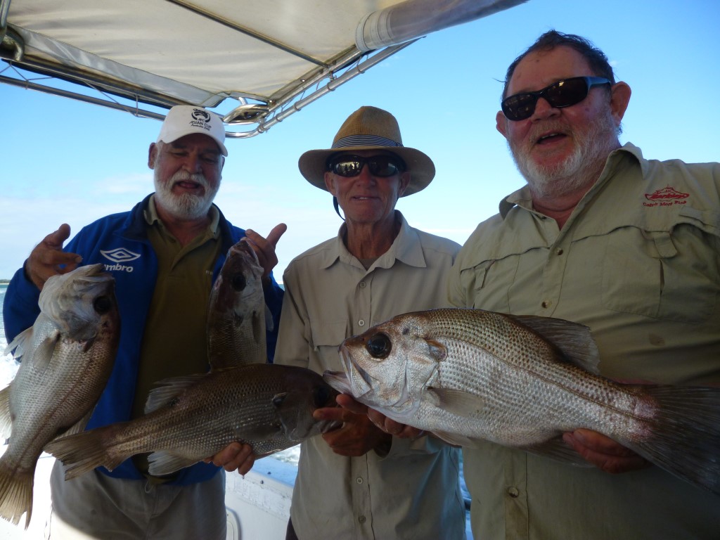 Pearl perch for these fellows