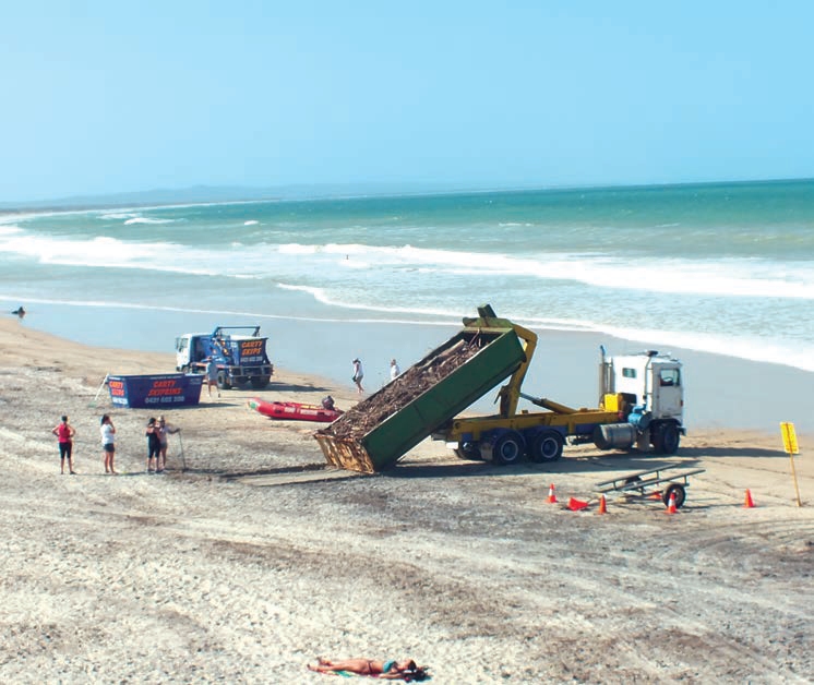 Beach Clean Up