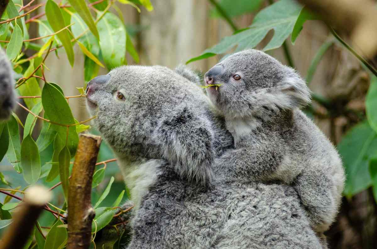 Do You Have an Interest in Biodiversity?