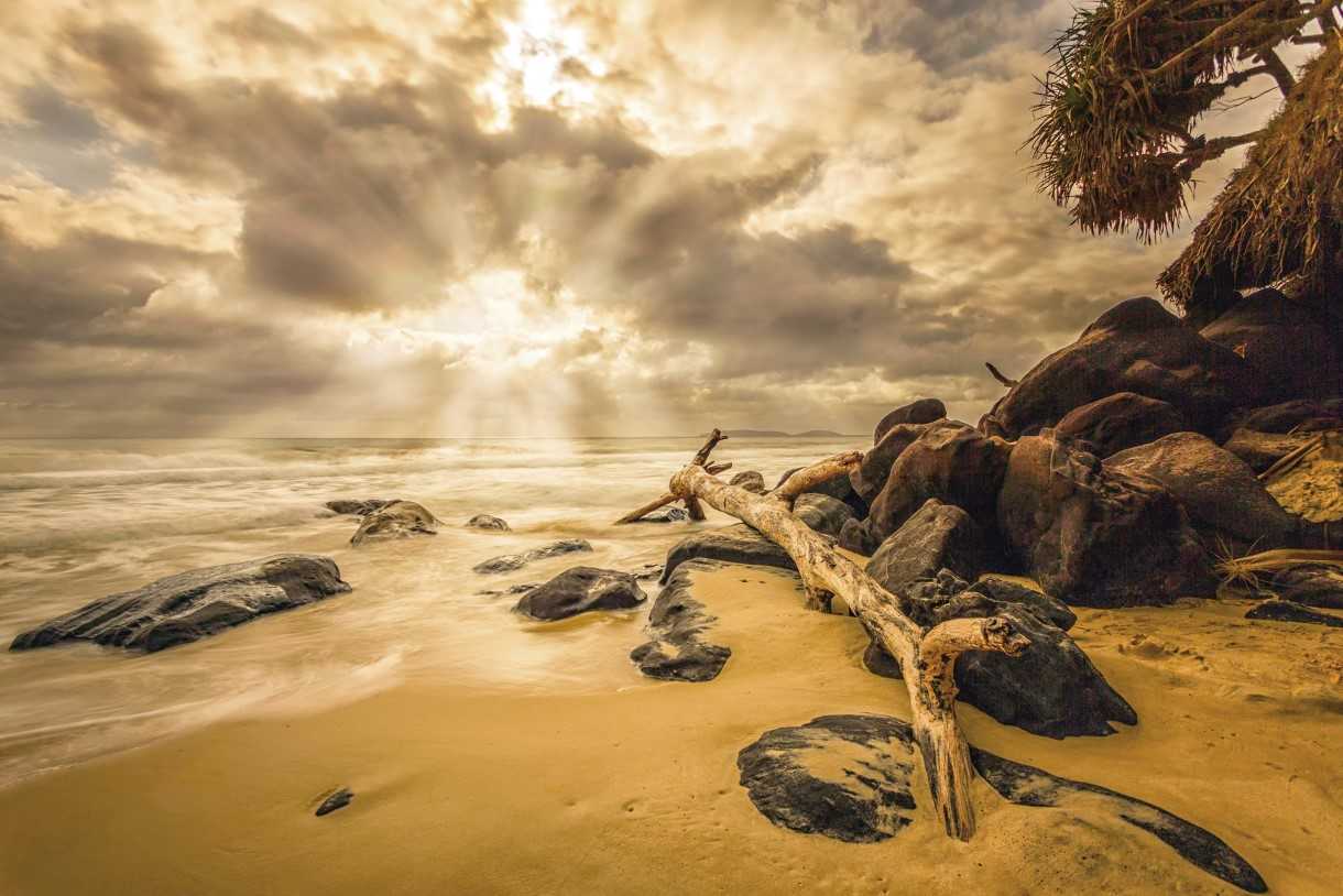 Patsy Brady's Morning Light won an A Grade Honour
