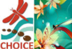 EDUCATION WORKSHOPS & SUPPORT GROUPS