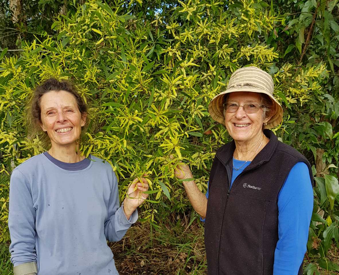 Linda Tabe and Mary Boyce will lead the native walk for Climate Week