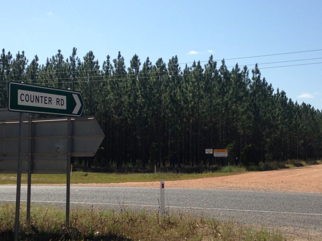 Counter Road is one of two options politicians will be discussing as vital links for the coast