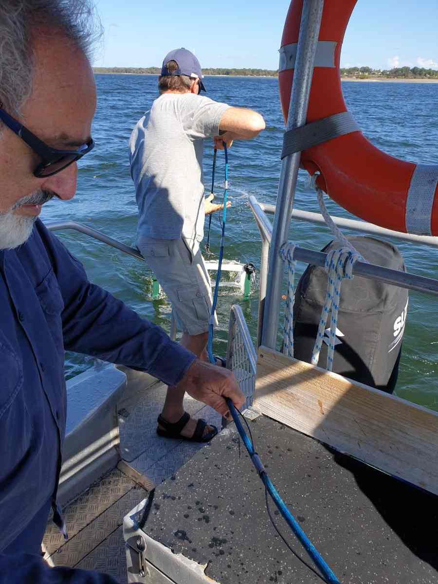 Coastcare VP Tony Galea and scientist Dr James Udy deploying the seagrass sled