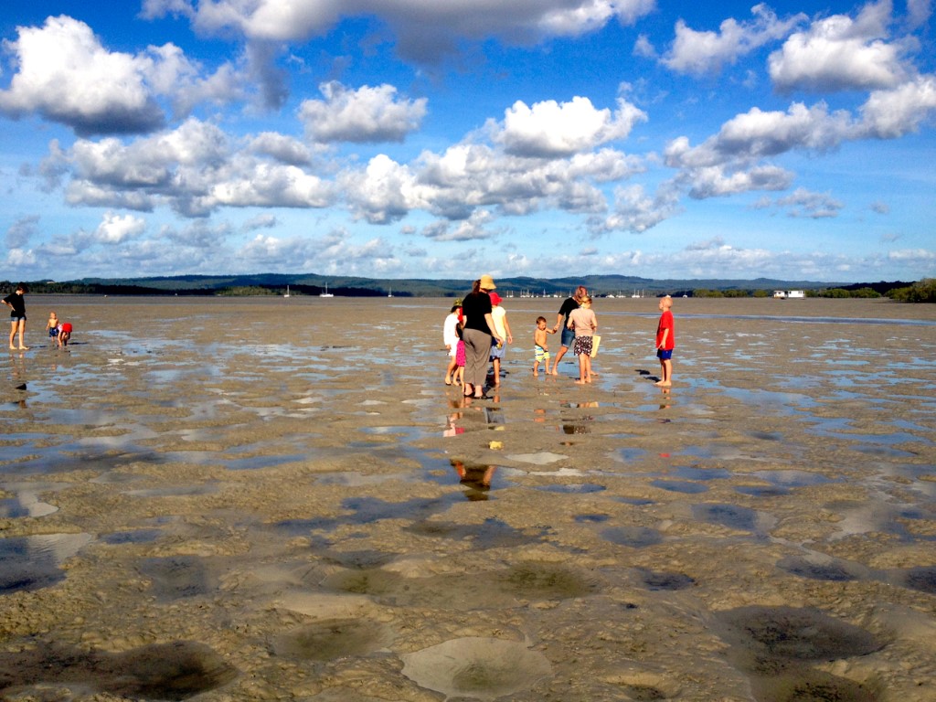 Low tide, Tin Can Bay foreshore - a playground for nature enthusiasts