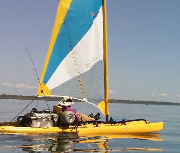 New tide tables for Coastcare