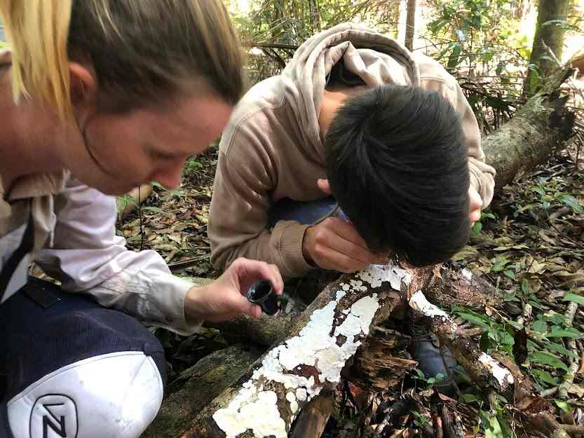 Get up close and personal with our local living species at the 2022 Cooloola BioBlitz. Photo source www.cooloolacoastcare.org.au - 2021 Cooloola BioBlitz