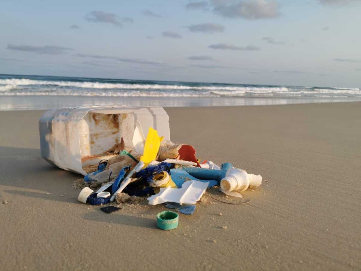 Did you know that Clean Up Australia Day is over 30 years old?!