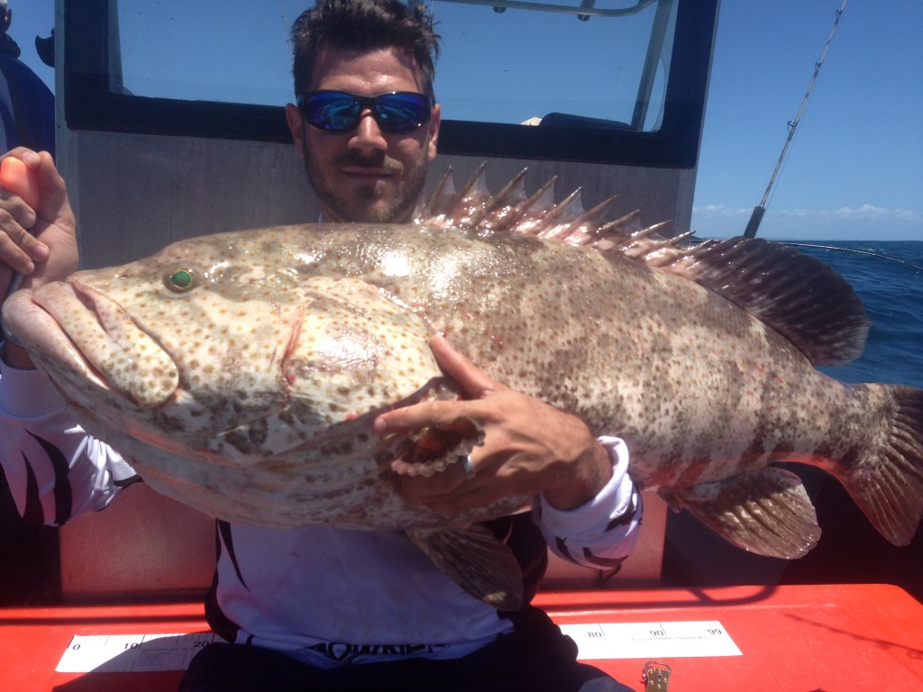 Fishing reports for Rainbow Beach and Tin Can Bay