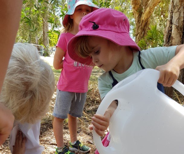 Little eco warriors revegetate and explore the Tin Can Bay foreshore reserve