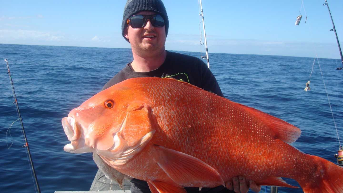 Jeremy Cawley, very happy with a beautiful Rainbow Beach red emperor at 14.5kg and July's winner