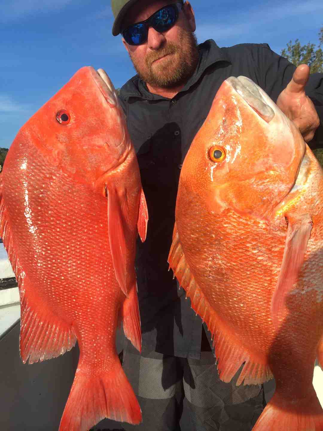 Baitrunner - Regular Beu with another nice pair of Reds