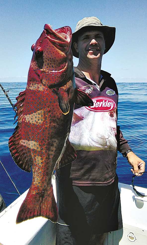 Evan Horton: thrilled with a quality Rainbow Beach coral trout