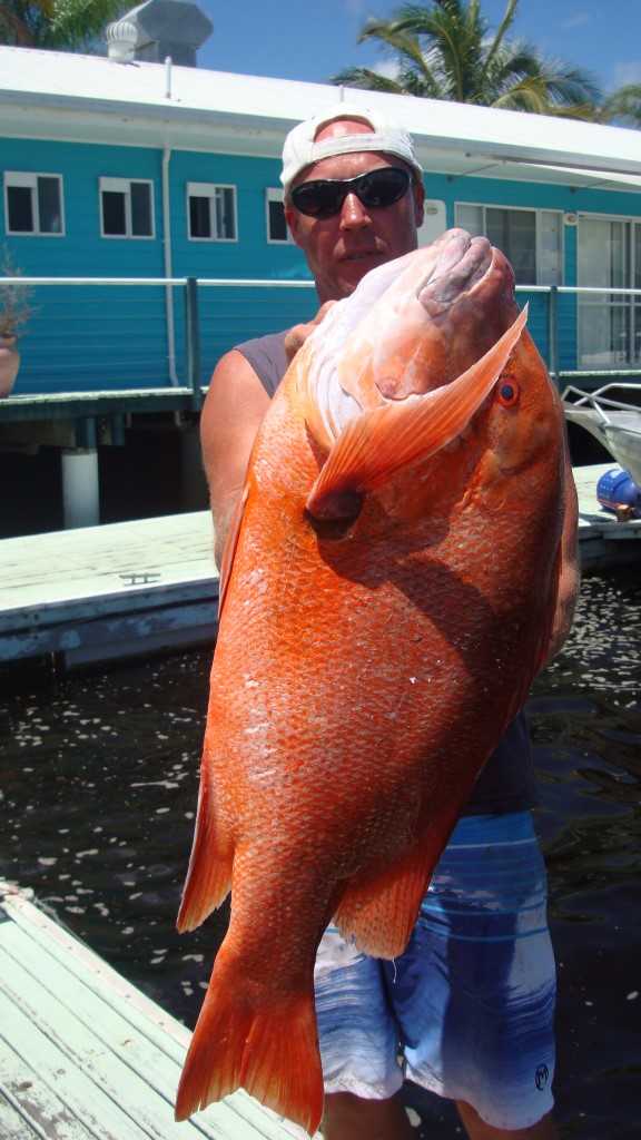One of the many big red emperor caught on Baitrunner