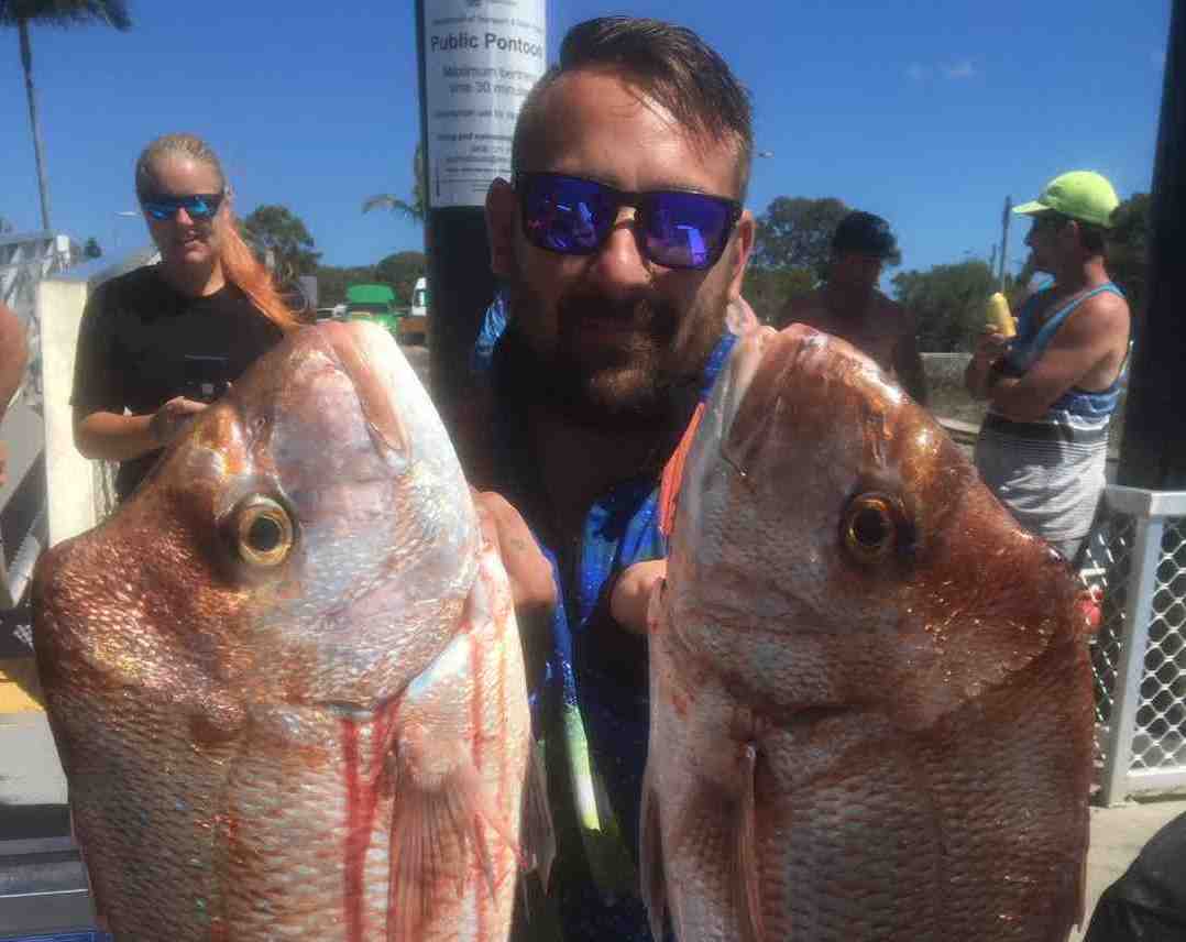 Another bag out day on quality Snapper for Baitrunner