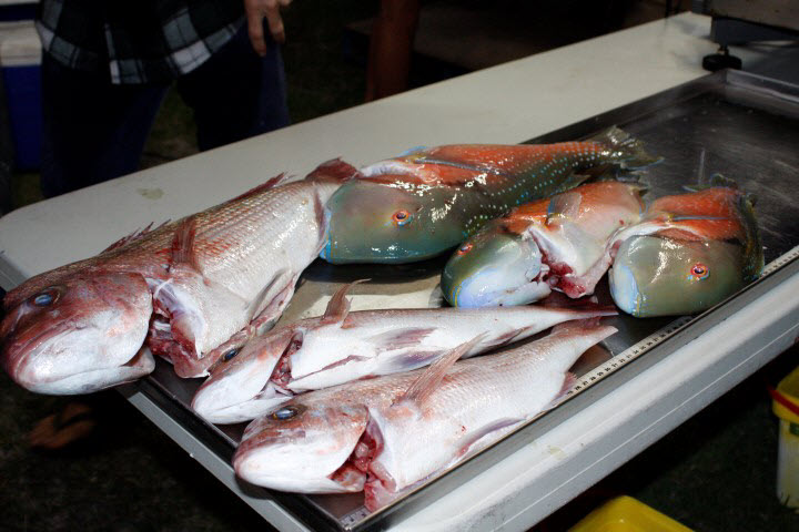 fishing classic