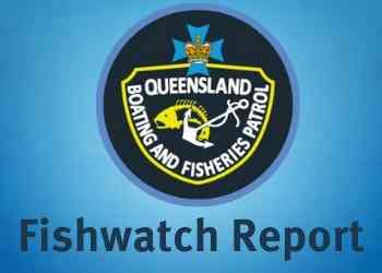 Fishwatch hotline