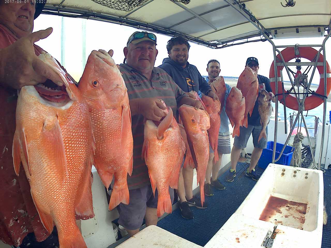 Nice haul of Rainbow beach Reds for the boys fishing on Baitrunner