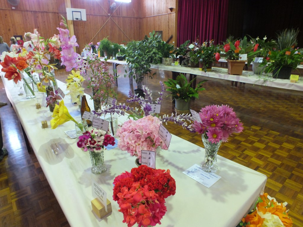 flower show 8 oct 15 023