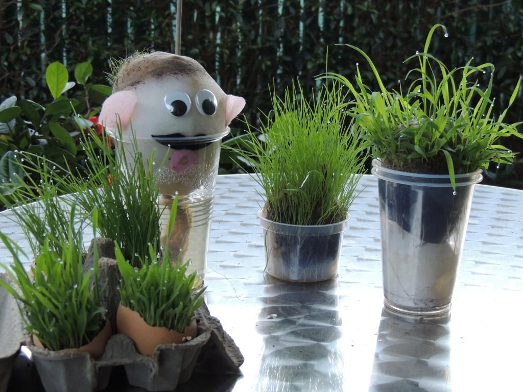 Grassy heads-press